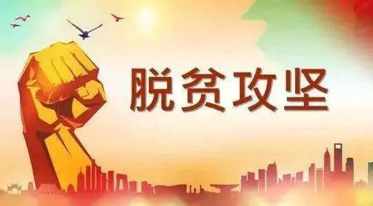 ƶᡢ԰88858ccҩҵٸ